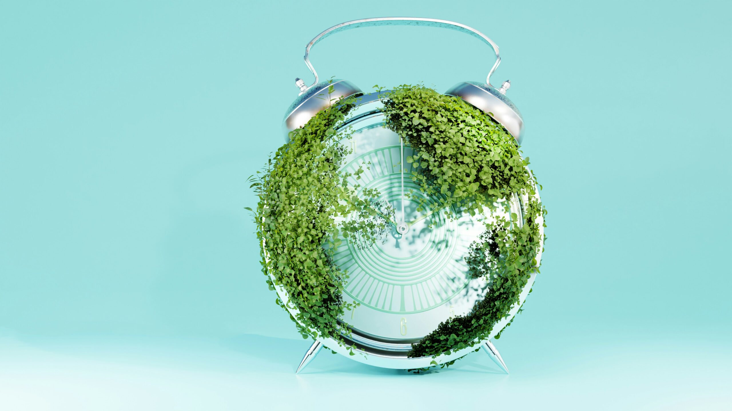 Sustainable Leadership